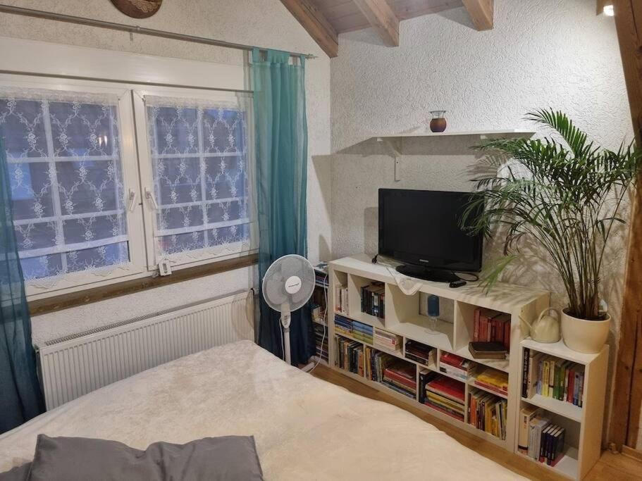 Gemuetliche Dachgeschosswohnung Erfurt Exterior photo